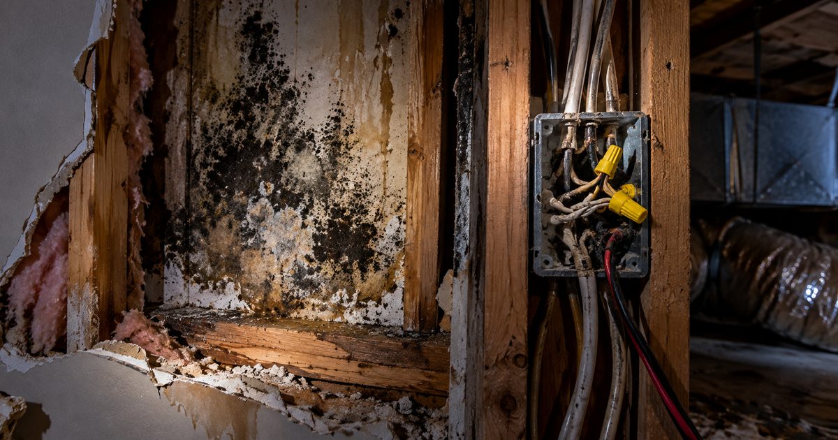 Water-damaged wall cavity with rotted framing and exposed wiring hidden behind the finished surface of a home